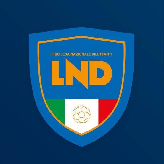 LND Calabria,ufficializzati organici e gironi di Eccellenza e Promozione 2026-2027: quattro ripescaggi in Promozione