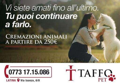 TAFFO Funeral services LATINA 