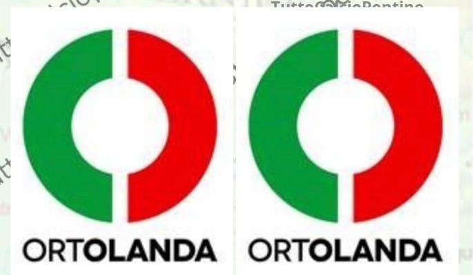 ORTOLANDA Partner Atl.Pontinia