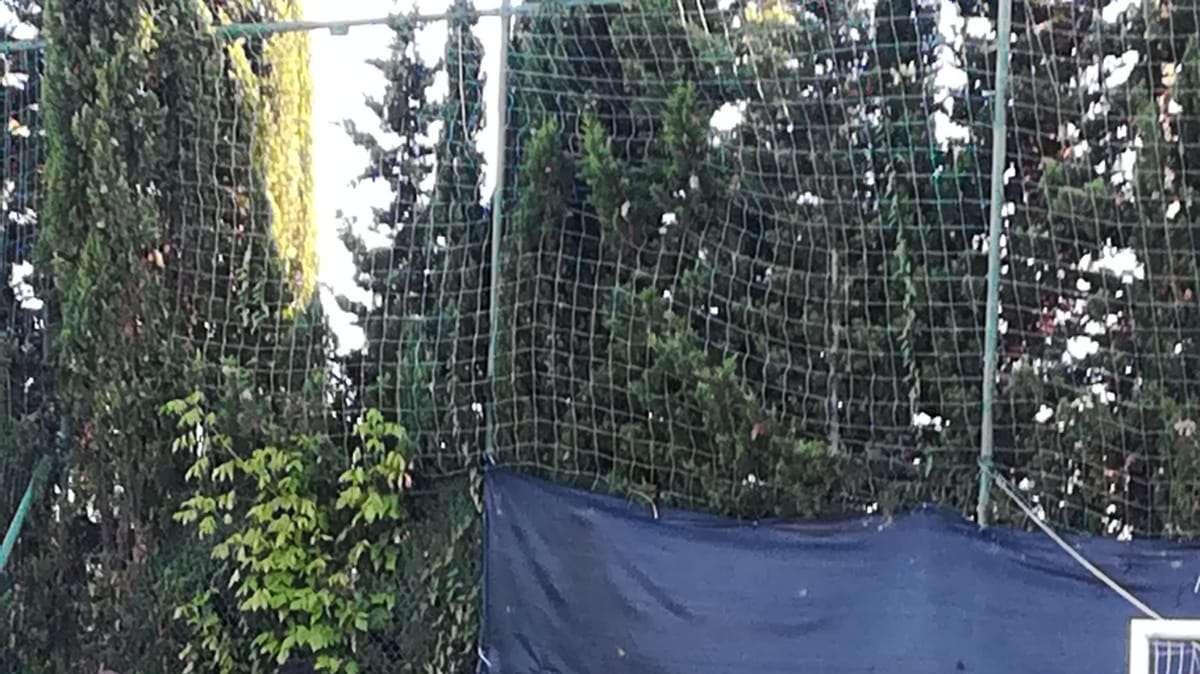 Uno scatto sul primo raduno.