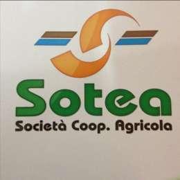 Societ&agrave; Coop. Agricola