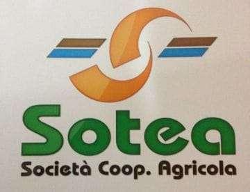 SOTEA COOP: AGRICOLA      