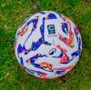 Serie C/C: il calendario con orari dalla 9a alla 20a giornata
