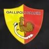 Gallipoli, annunciata la chiusura dell'attività sportiva
