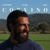 UFFICIALE - Taranto, ecco Vincenzo Corvino: l’attaccante torna in rossoblù