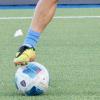 Serie D, sarà Fidelis Andria-Bisceglie ai trentaduesimi di Coppa Italia