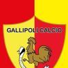 Gallipoli, Manta: "Ho rimesso il titolo nelle mani del Sindaco"