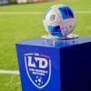 Serie D, rinviate le ammissioni al 5 Agosto, i gironi il 6 agosto