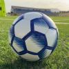 Serie D, meno di 20 giorni all’inizio della nuova stagione