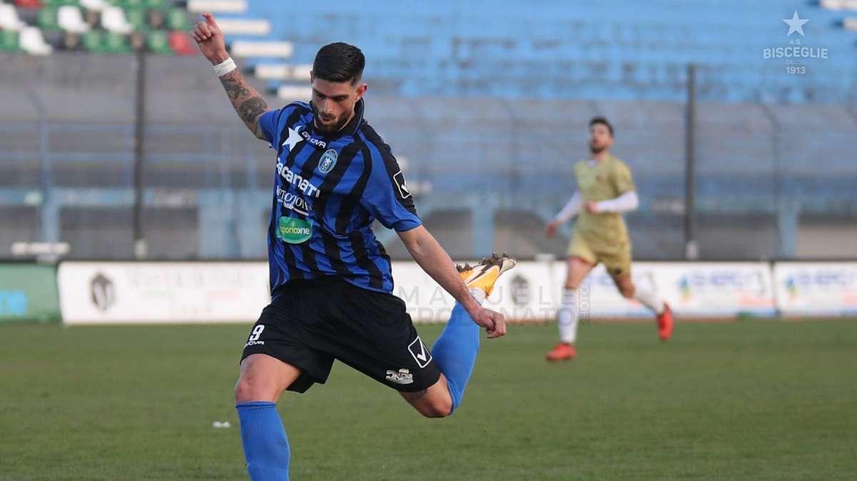 Le probabili formazioni di Bisceglie-Catania: tandem Rocco-Cecconi in avanti?
