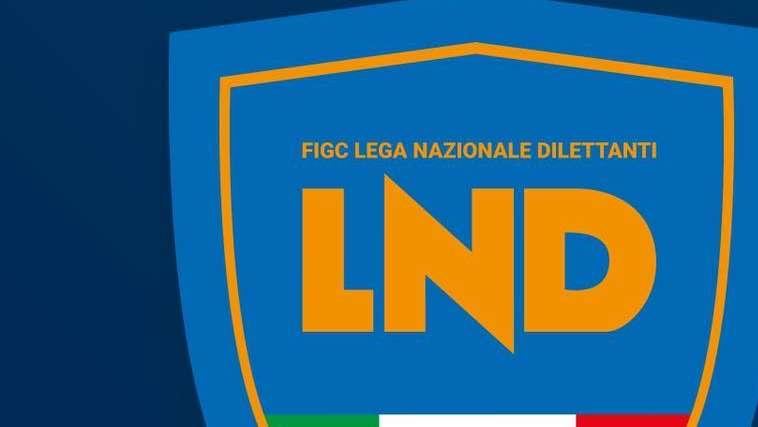 Serie D, definiti i raggruppamenti: Il Girone H parla pugliese. Rappresentanze lucane e campane