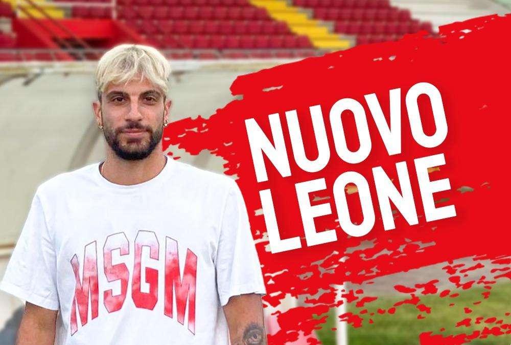 UFFICIALE - Team Altamura, colpo in avanti: arriva Tedesco
