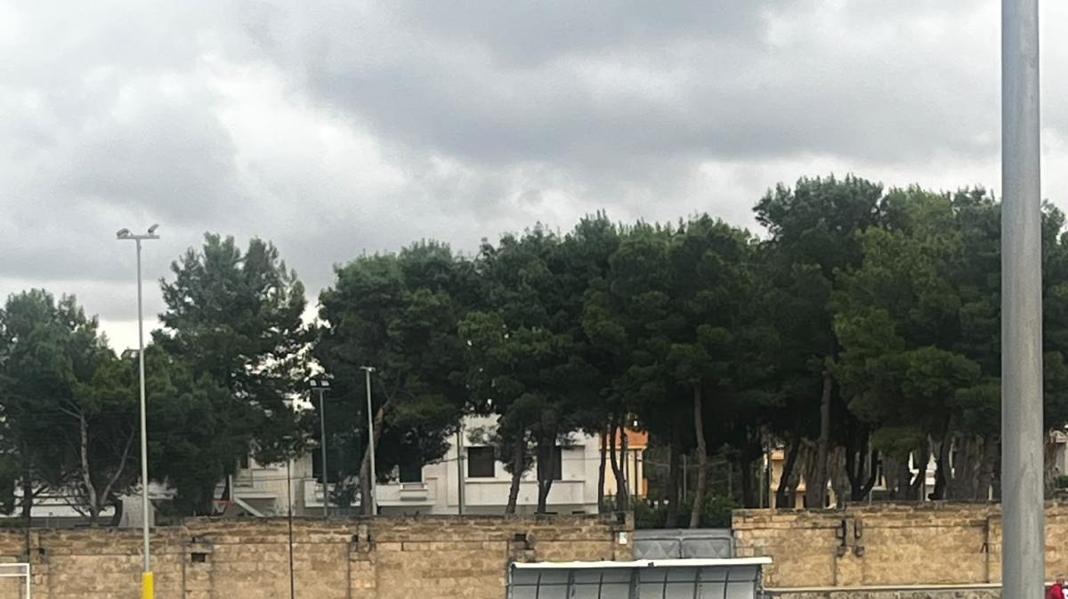 Racale-Canosa 2-0: i salentini interrompono la striscia di vittorie dei rossoblu