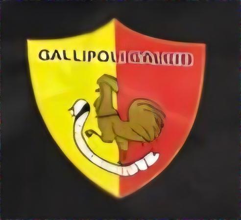 Gallipoli, annunciata la chiusura dell'attività sportiva