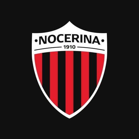 Nocerina verso il Fasano, il presidente Stella incontra i giocatori 