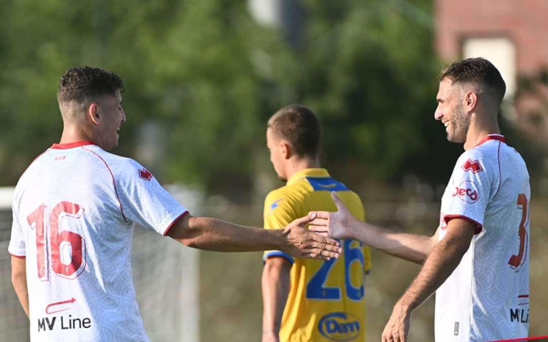 Frosinone-Bari 3-4: Lasagna incide, da migliorare la fase difensiva