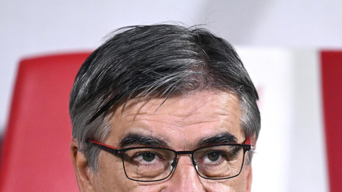 Monza, Juric: «Paghiamo gli errori individuali. Dobbiamo essere più cattivi sotto porta»