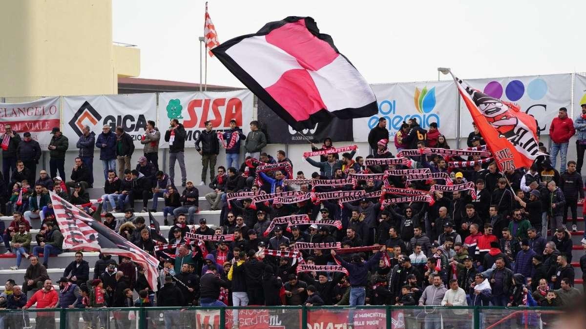 Molfetta, verso il 3-5-2 contro il Portici? 