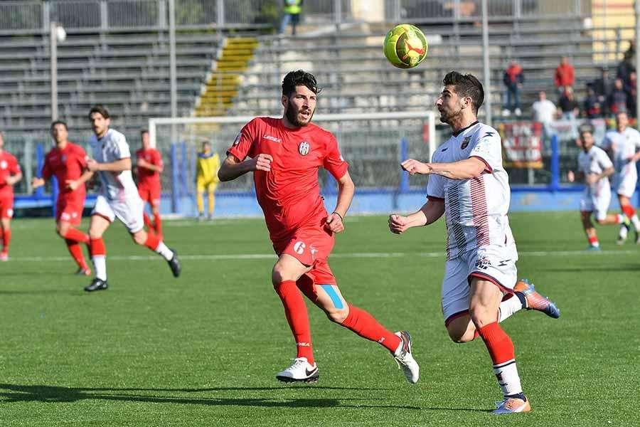 Turchetta in azione