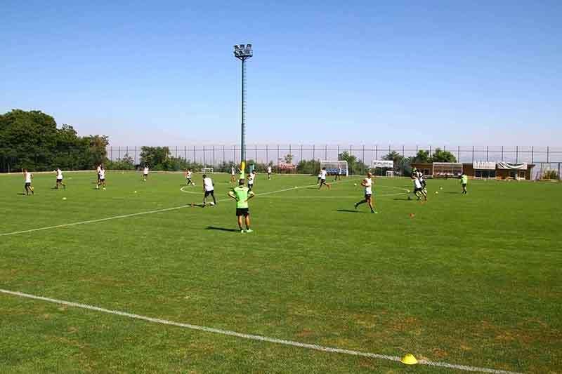 I falchetti a lavoro