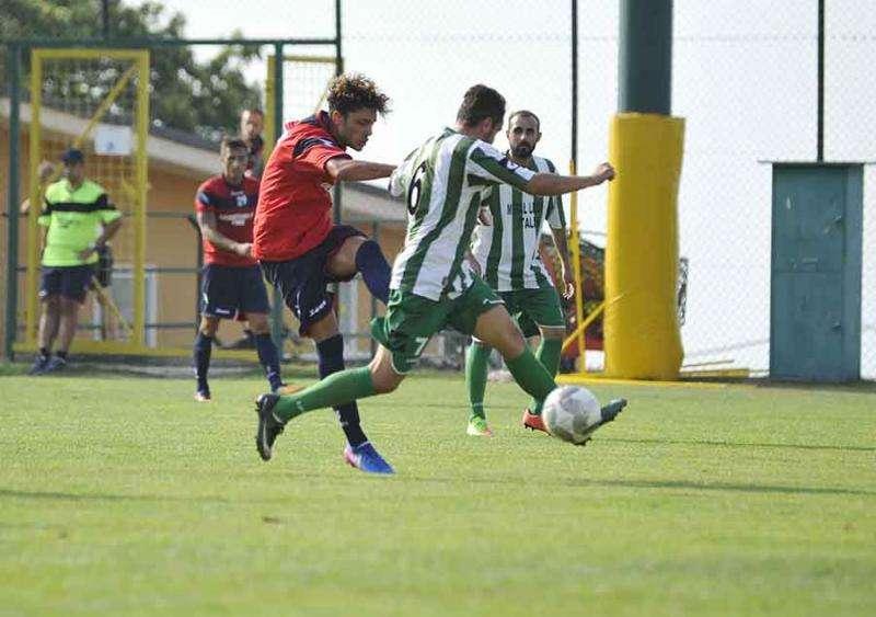 Andrea Tripicchio