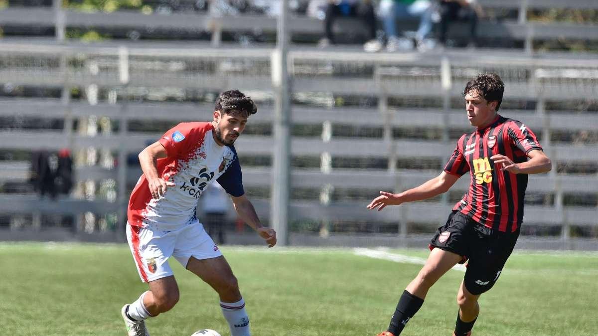 Andrea Feola