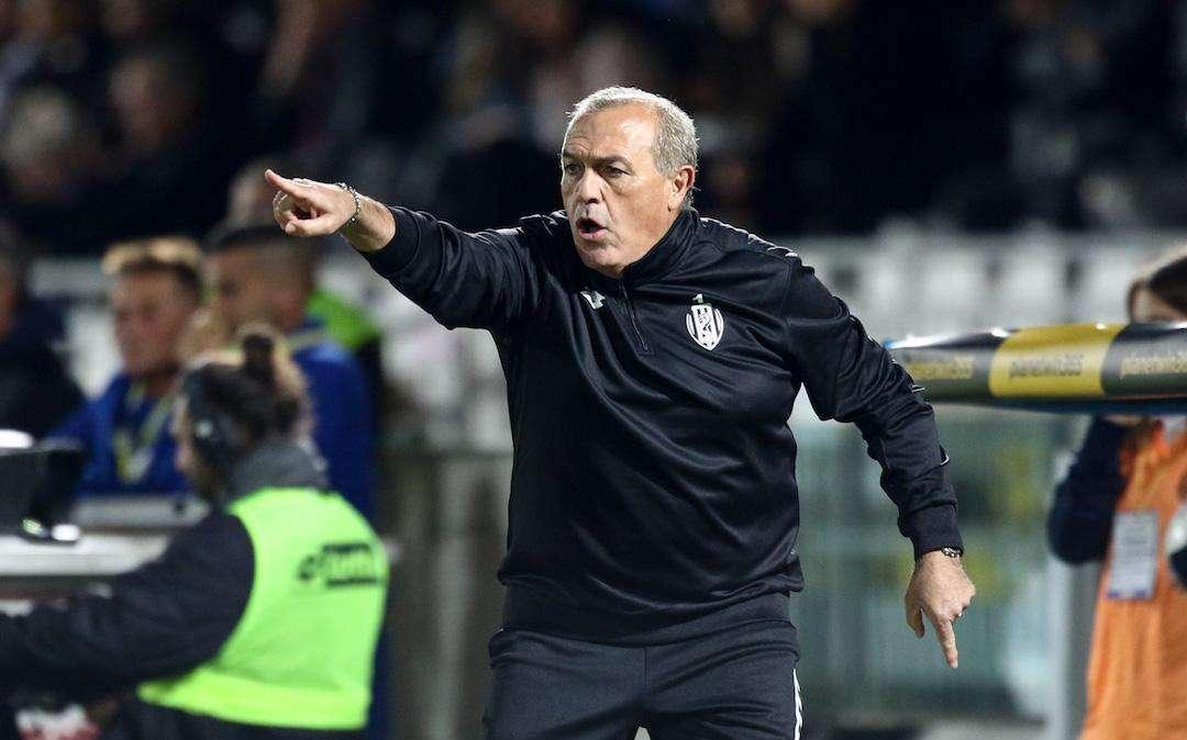 Castori: "Domani mi aspetto una partita spettacolare"