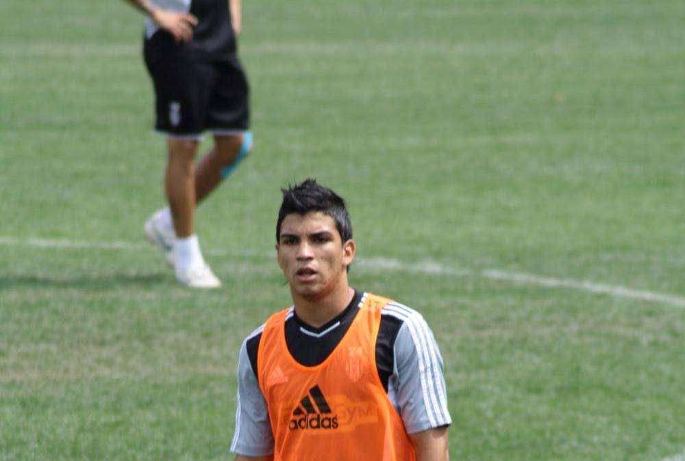 Meza Colli