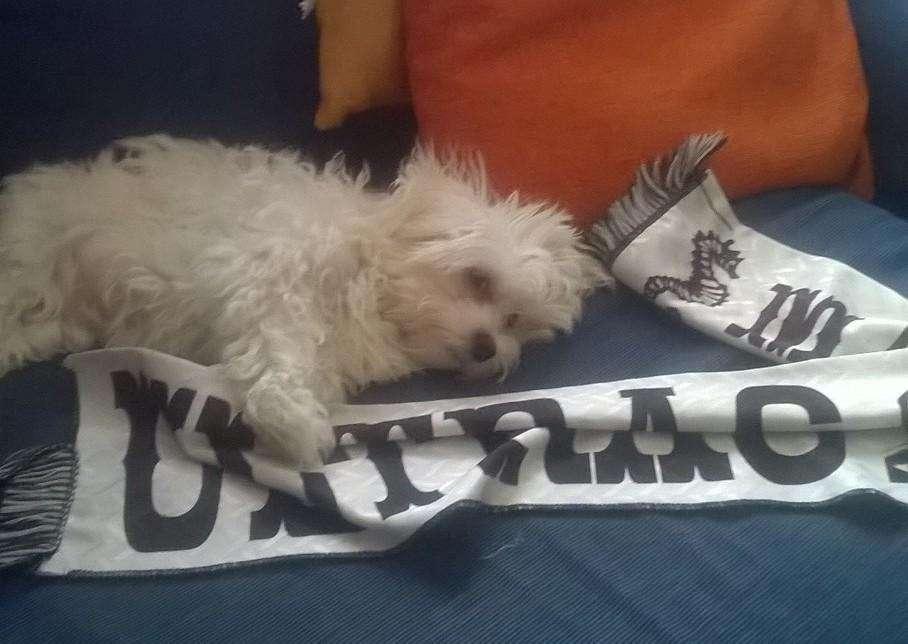 A TE DEG ME "Ecco Ruggero, il mio portafortuna"