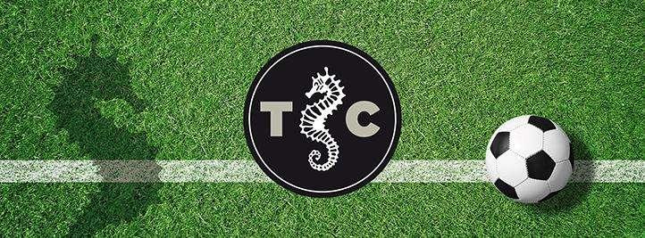 La nuova grafica di TC.it