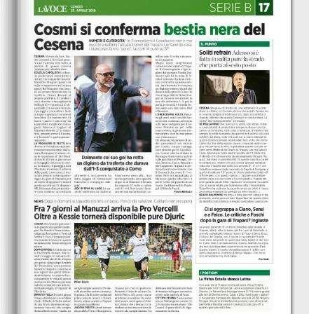 Djuric tornerà disponibile, Caldara no. La Voce di Romagna