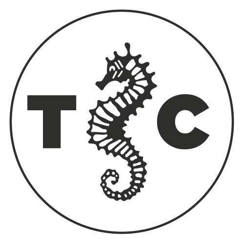 Seguici su Telegram!