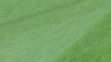 Barça, che sorpresa: Puyol convocato per il Clasico