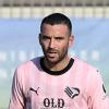 Calciomercato Cremonese, occasione Insigne: l'annuncio di Nesta cambia tutto, i grigiorossi ci pensano