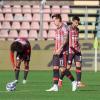 Cremonese, crisi senza fine: squadra in zona retrocessione e società sotto accusa. Chi si assume le responsabilità?