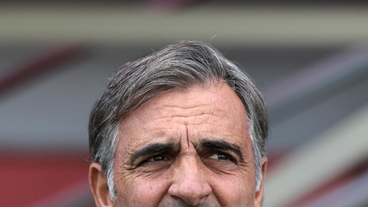 Cremonese, mercato estivo sotto esame: il bilancio reparto per reparto