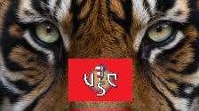 Cremonese vogliamo vedere  gli ‘occhi della tigre’… 