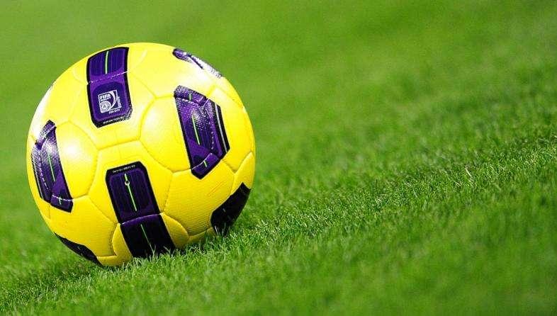 Russia, Advocaat: "Lascerò dopo Euro2012"