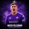 Pellegrino alla Fiorentina, statistiche e consiglio al fantacalcio