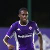 Kouadio al Monza, statistiche e consiglio al fantacalcio