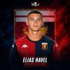 Elias Havel al Genoa, statistiche e analisi al fantacalcio