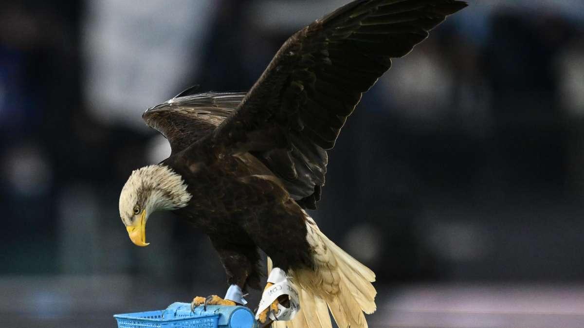 Ratkov alla Lazio: l'analisi al fantacalcio