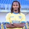 Frosinone, Enzo Tchato si presenta: "Progetto stimolante, non vedo l'ora di giocare allo Stirpe"