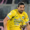 Calciomercato Frosinone, Pedullà: "Di Nardo, Sphendi e Correia..."