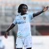 Frosinone, Alvini: "Ecco come sta Amey. Grillitsch e Terzic..."