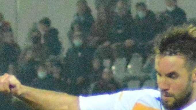 PAGELLE Reggina-Frosinone: le pagelle dei canarini