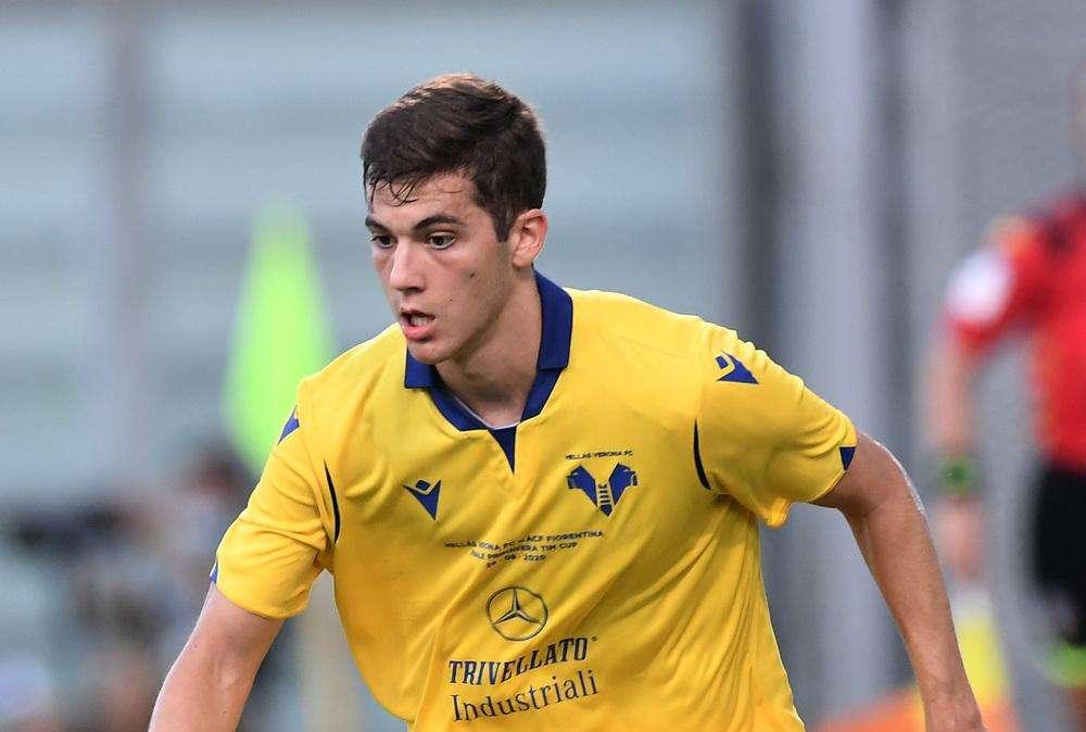 CALCIOMERCATO FROSINONE - Occhi su Jocic. Piace anche al Crotone e all'estero