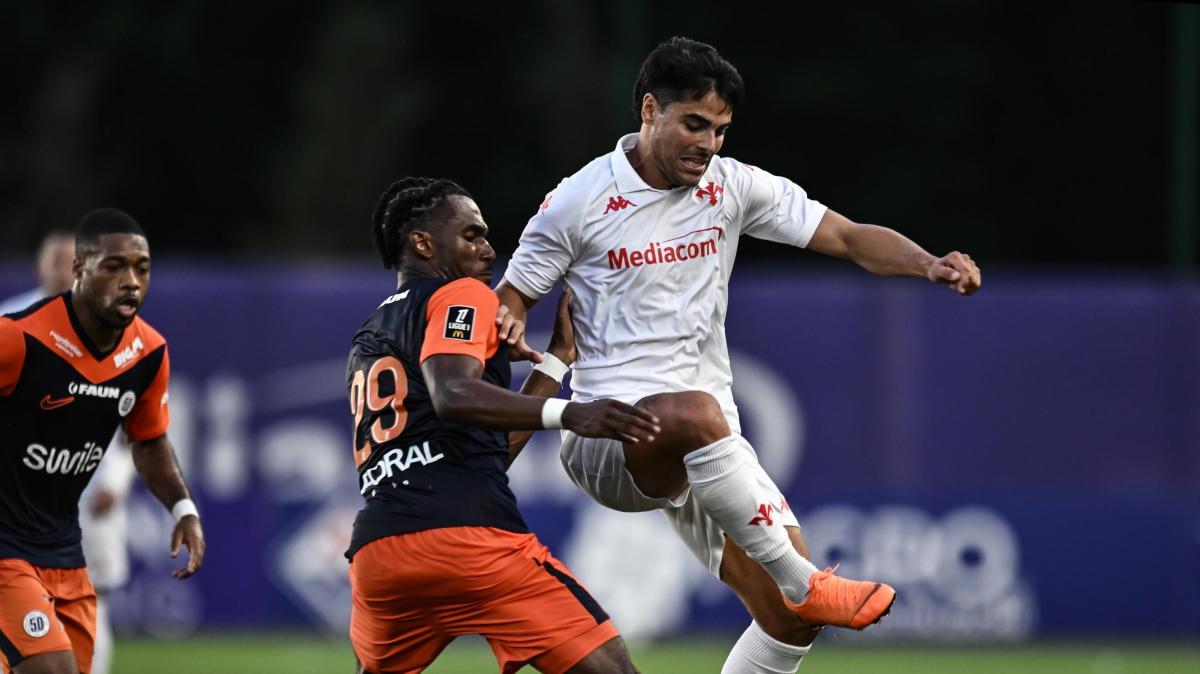 UFFICIALE - Enzo Tchato è Giallazzurro. Il Frosinone comunica l'acquisto del difensore dal Montpellier