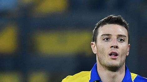 CALCIOMERCATO - Clamoroso: Daniel Ciofani vicino al Palermo!