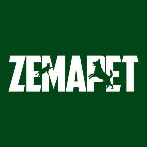 Zemapet, negozio di animali a Frosinone: passaci a trovare per il tuo amico a quattro zampe